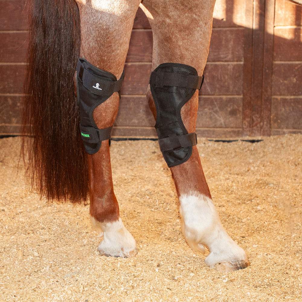 Classic Equine MagNTX Magnetic Hock Wraps