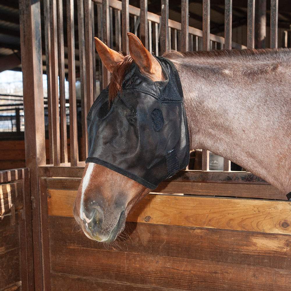 Classic Equine MagNTX Magnetic Mask