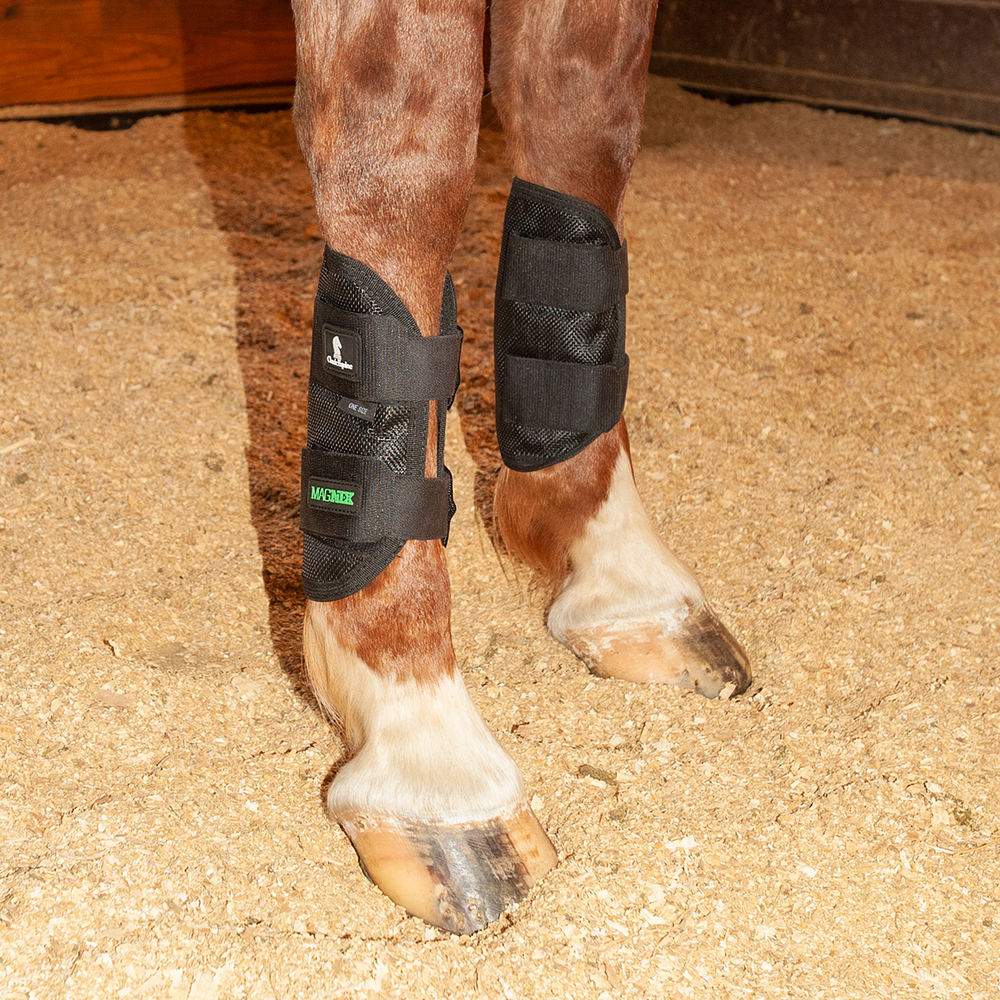 Classic Equine MagNTX Tendon Wraps