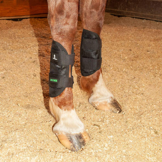 Classic Equine MagNTX Tendon Wraps