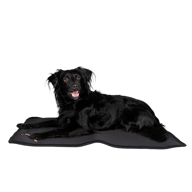 Therapeutic Dog Bed Liner