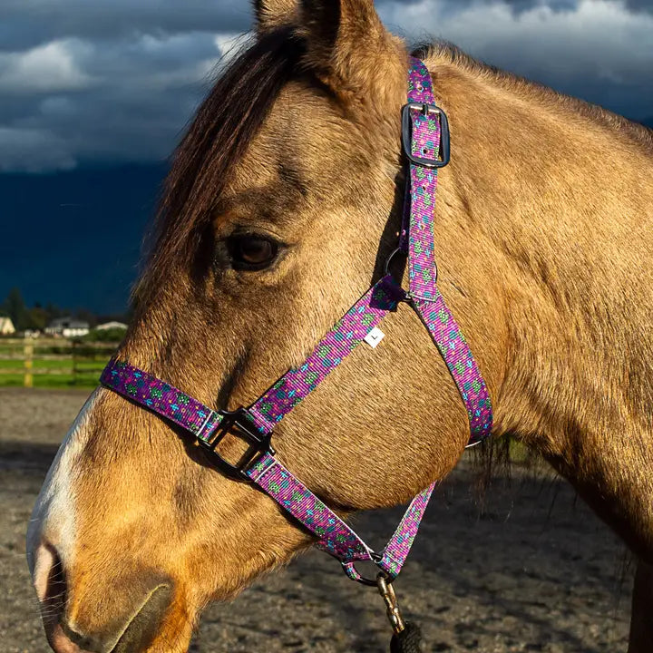 Schulz Equine Pattern Nylon Halter