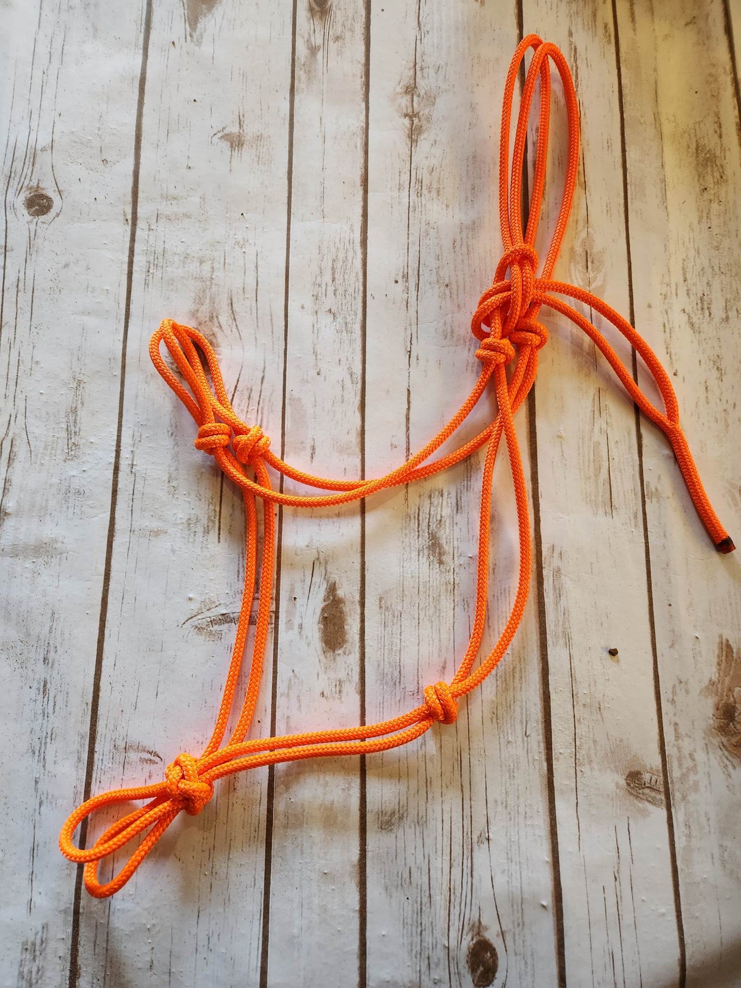 Soft 2-Knot Yearling Horse Rope Halter