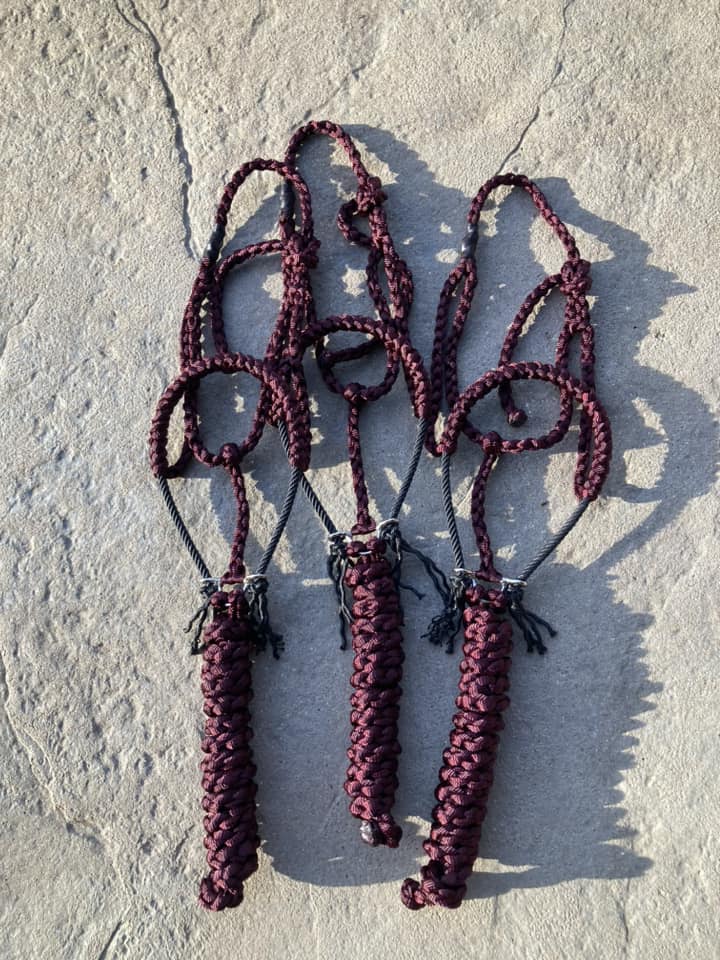 Solid Lariat Nose Mule Tape Halters