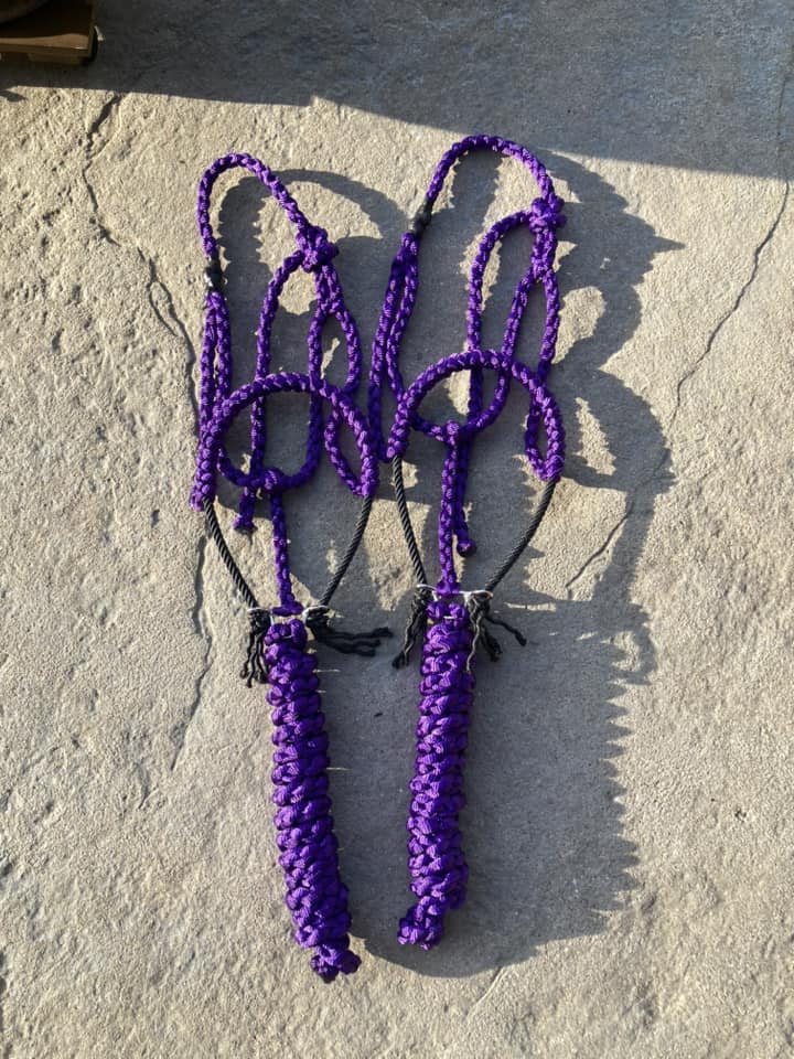 Solid Lariat Nose Mule Tape Halters