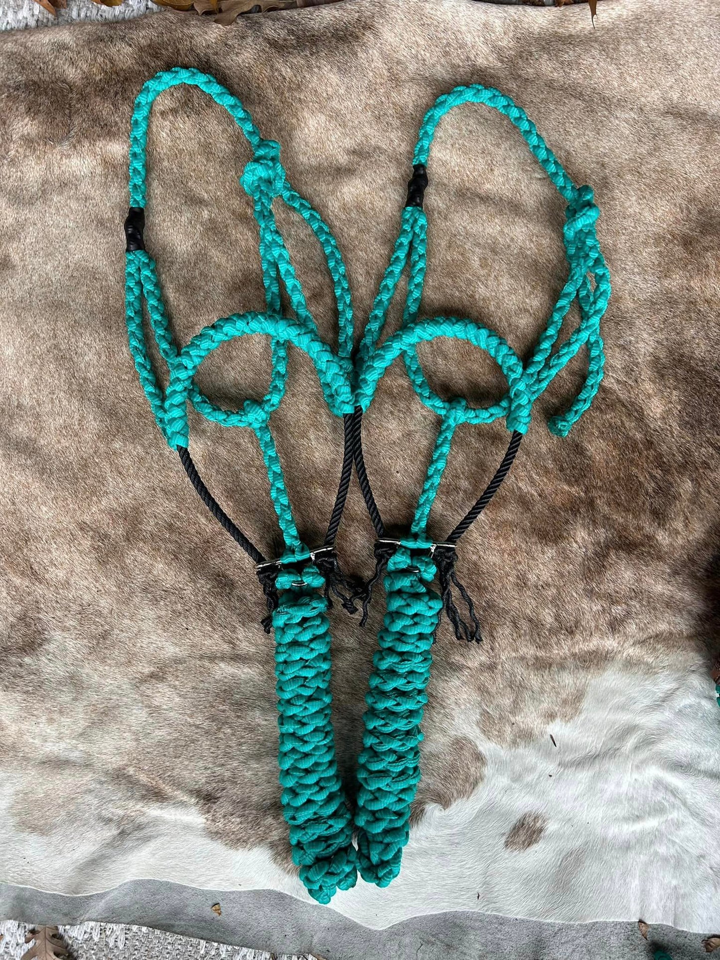 Solid Lariat Nose Mule Tape Halters