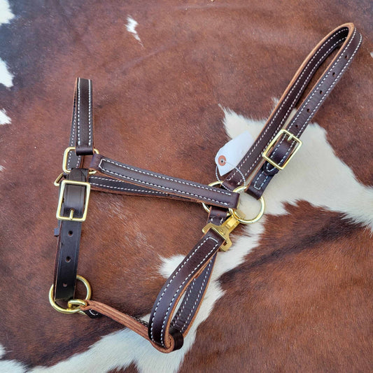 Brown Leather Stitched Horse Halter