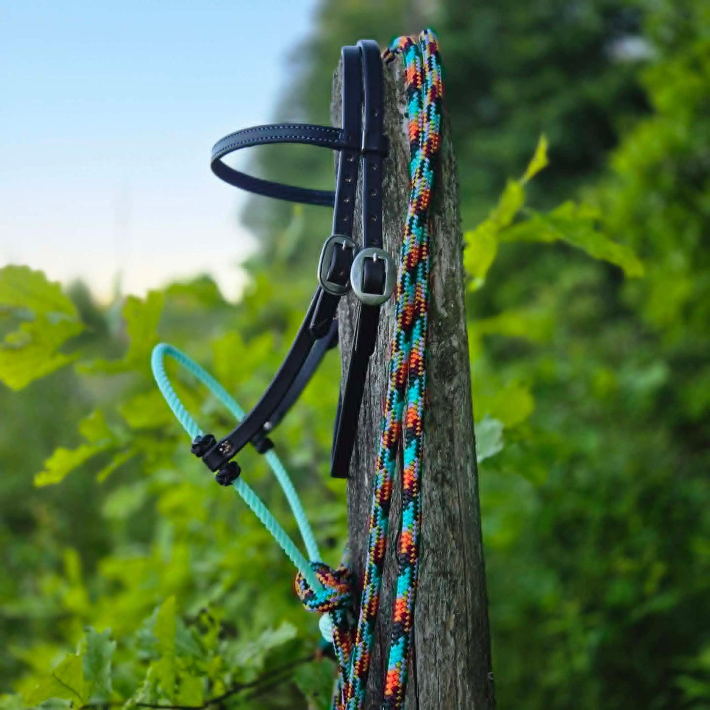 Black & Turquoise Loping Hackamore