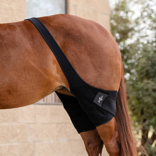 Professional's Choice Theramic Stifle Wrap