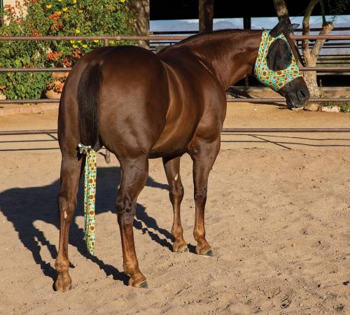 Professional's Choice Tail Tamer Bison Tail Bag