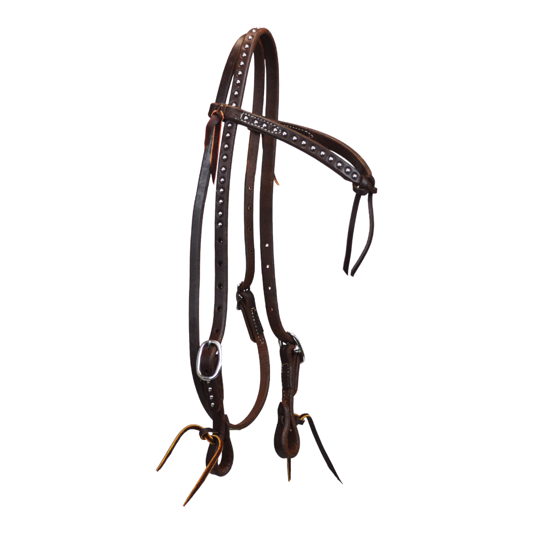 Heavy Oiled Dotted Futurity Browband Headstall
