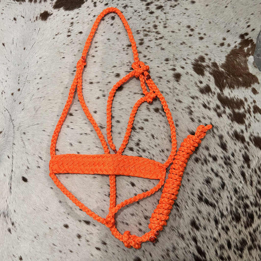 KKT Mule Tape Halter