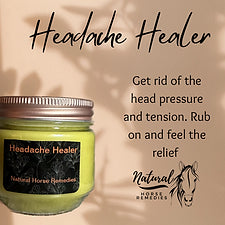 Natural Horse Remedies Headace Healer