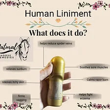 Natural Horse Remedies Human Roll On Liniment