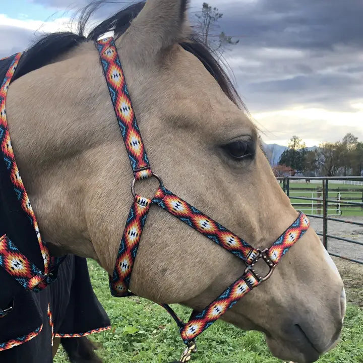Schulz Equine Pattern Nylon Halter