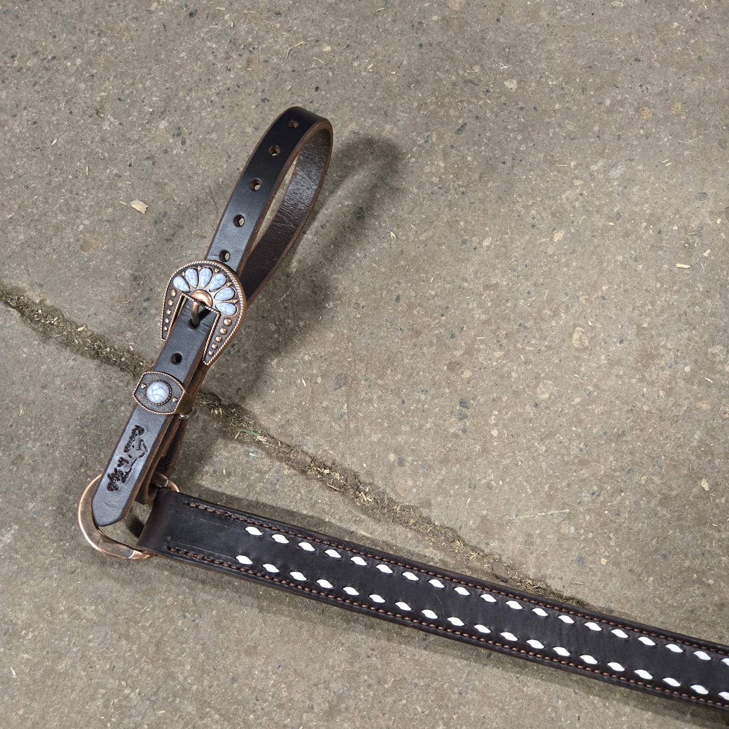 White Buckstitched on Dark Chocolate Breast Collar