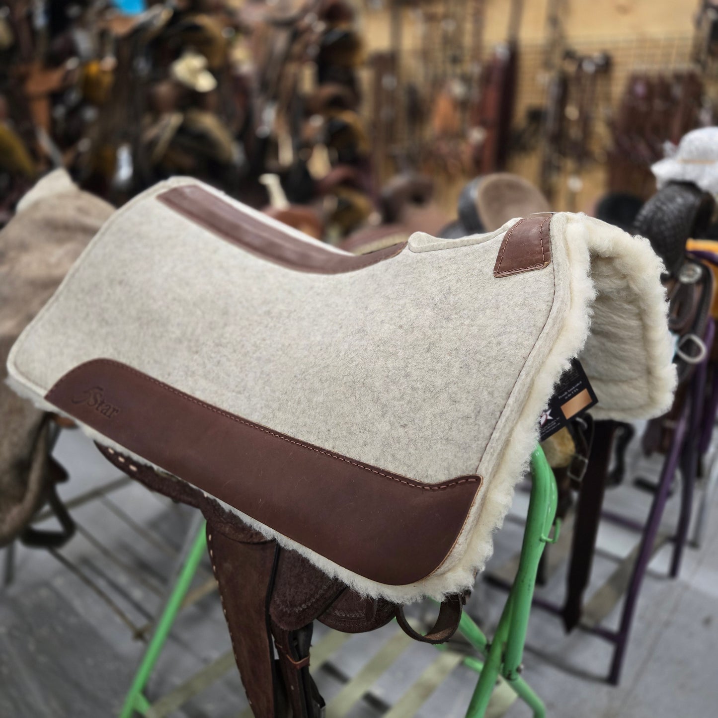 5 Star All Around Natural Fleece Bottom