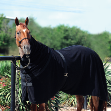 Classic Equine Polar Fleece Cooler