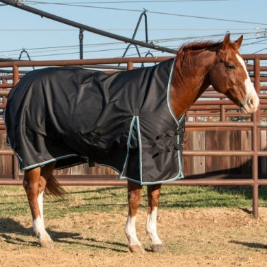 Cashel Turnout Winter Blanket - Black