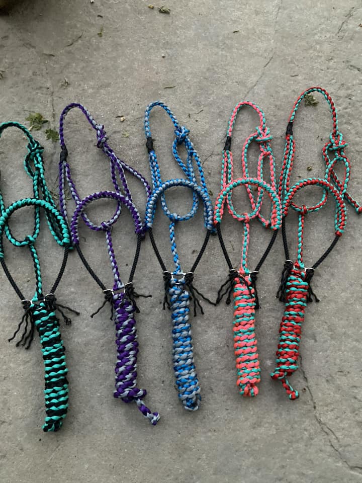 Multi-Color Lariat Nose Mule Tape Halters