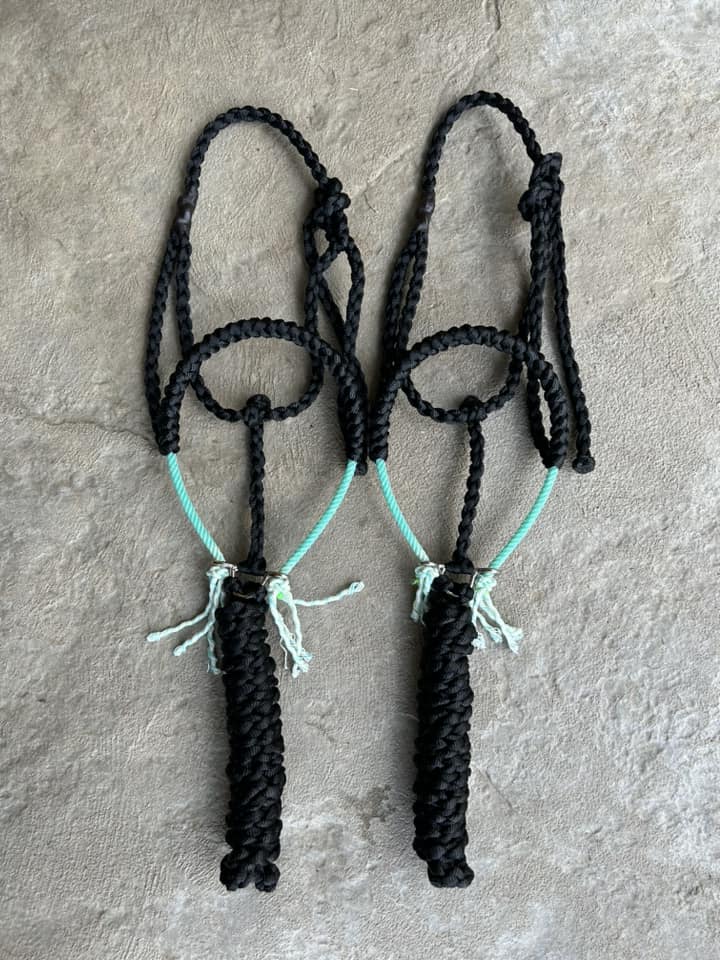 Solid Lariat Nose Mule Tape Halters
