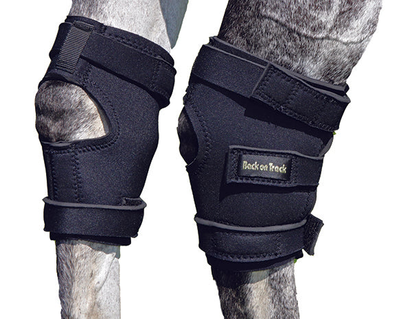 Back On Track Therapeutic Hock Wrap
