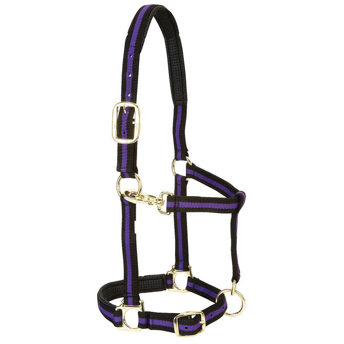 Weaver Padded Adjustable Halter