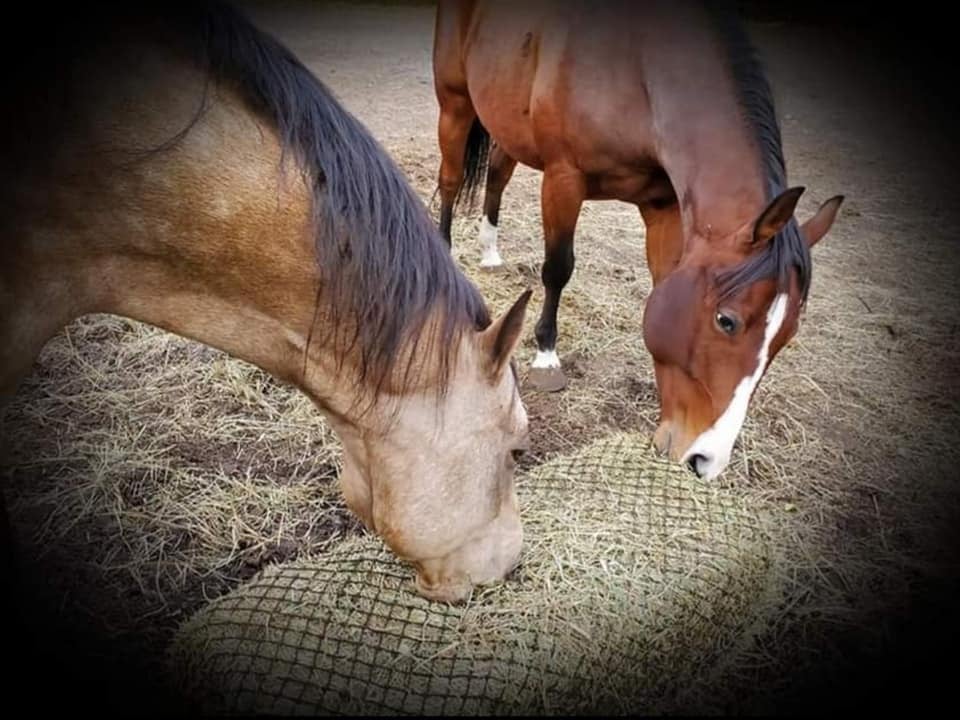 Hay Chix Small Bale Net