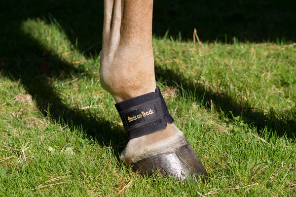 Back On Track Pastern Boots