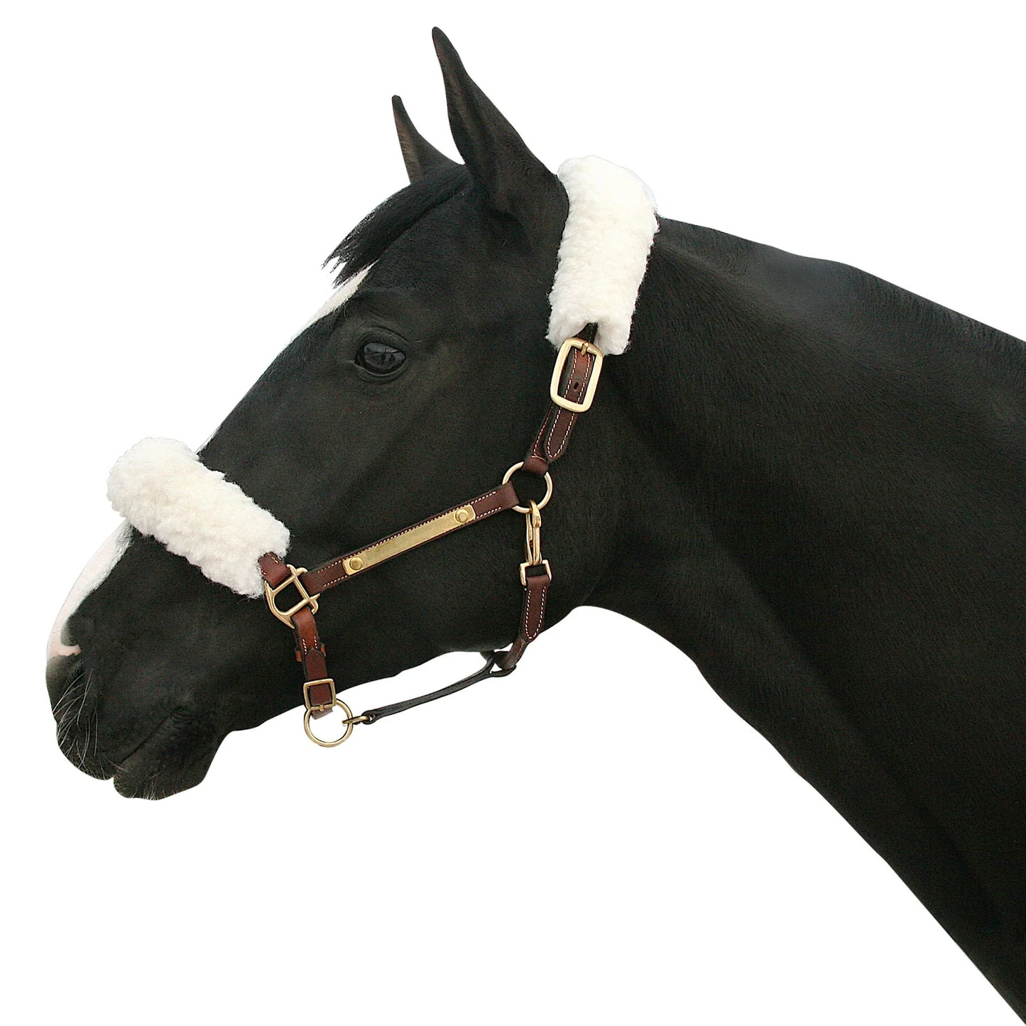 Back On Track Fleece White Halter Cover