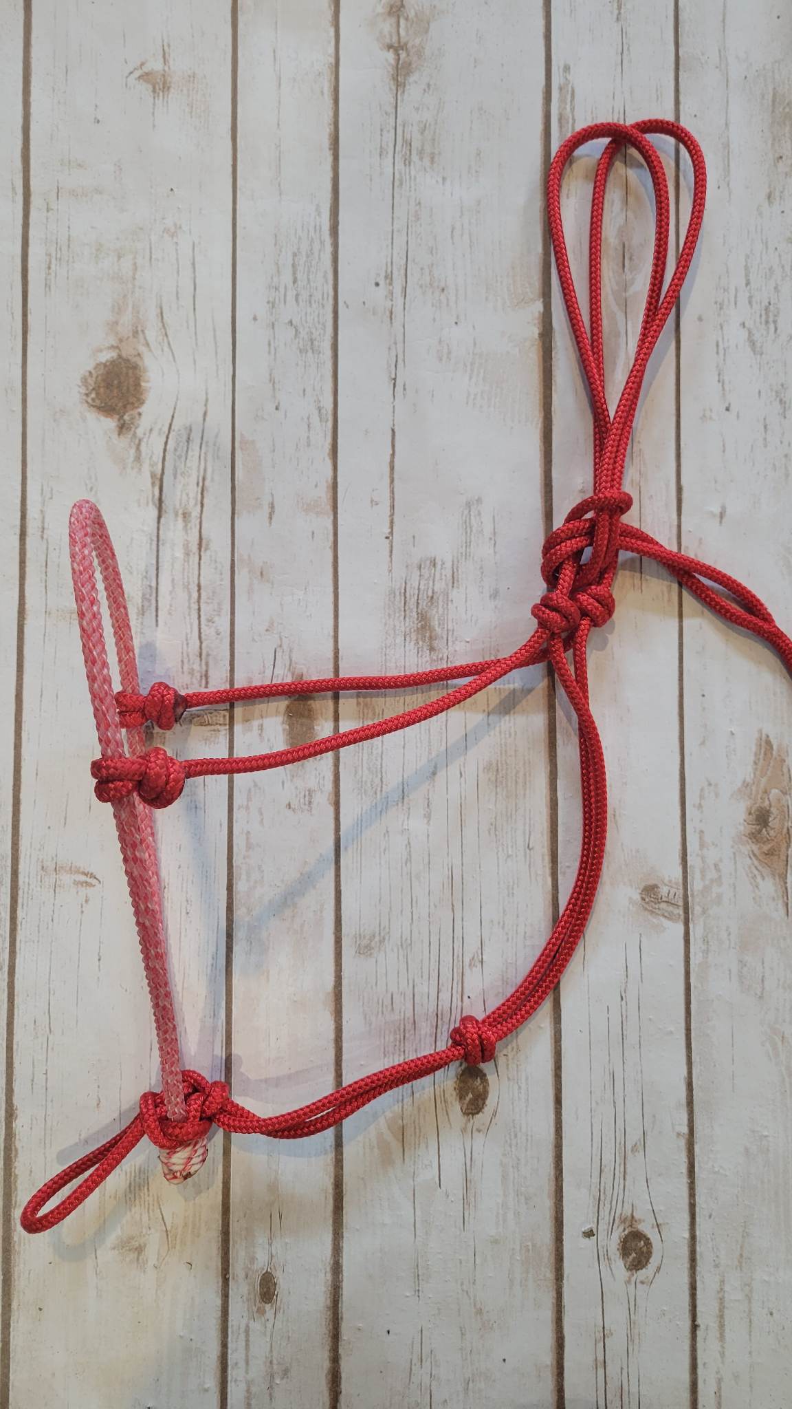 Lariat Nose Rope Halter