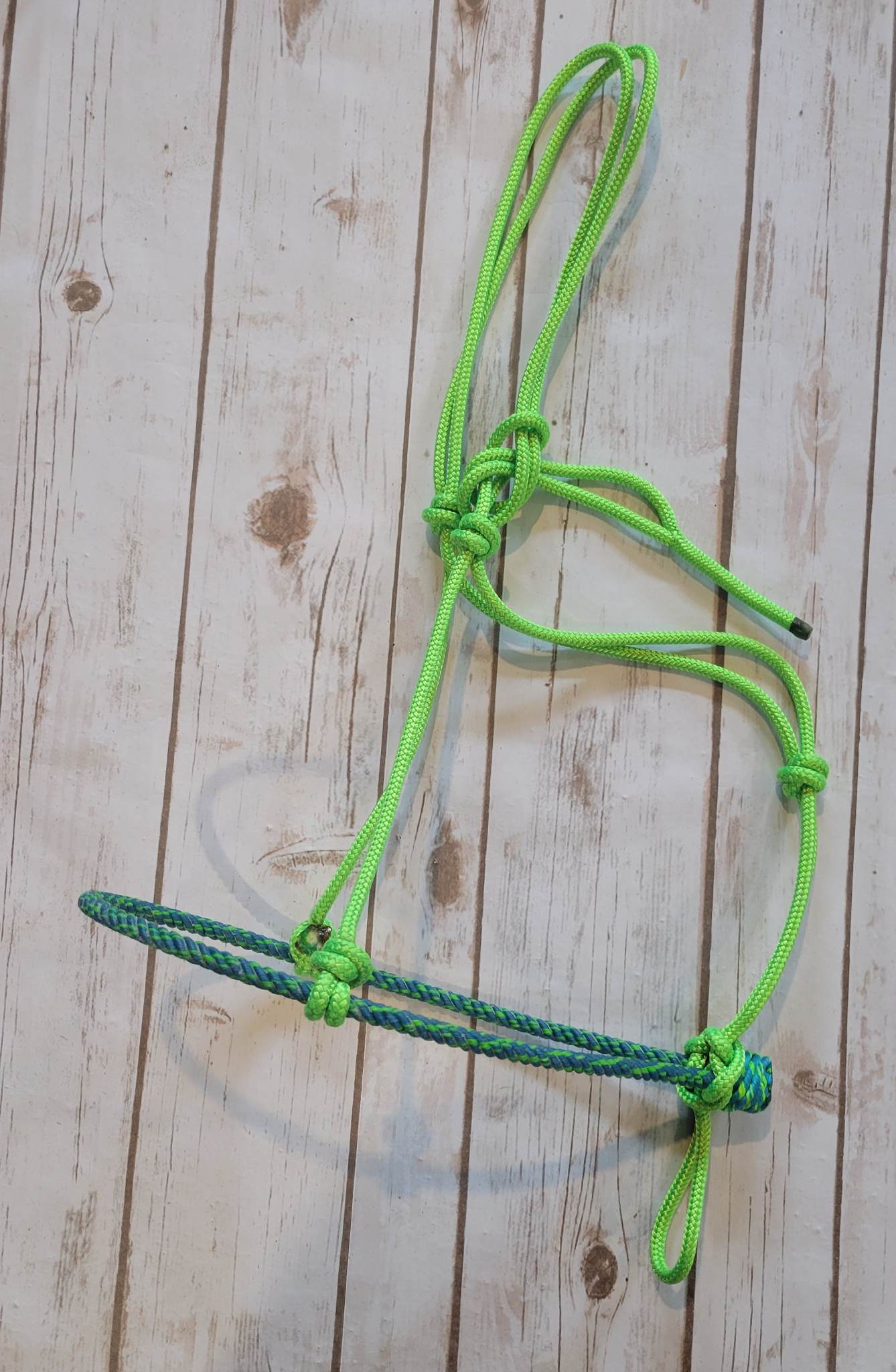 Lariat Nose Rope Halter