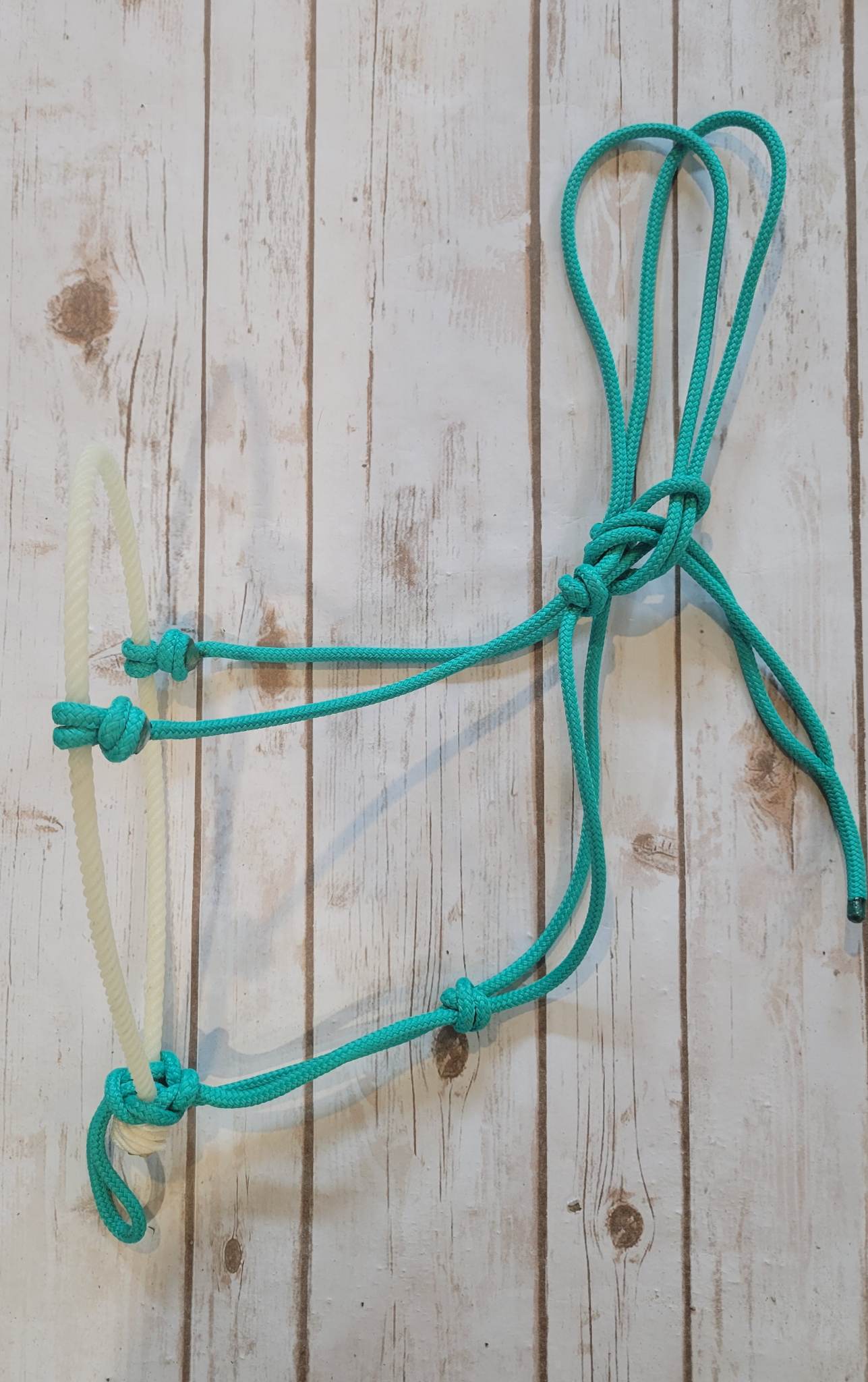 Lariat Nose Rope Halter