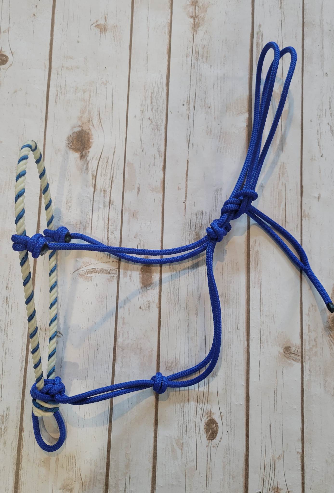 Lariat Nose Rope Halter