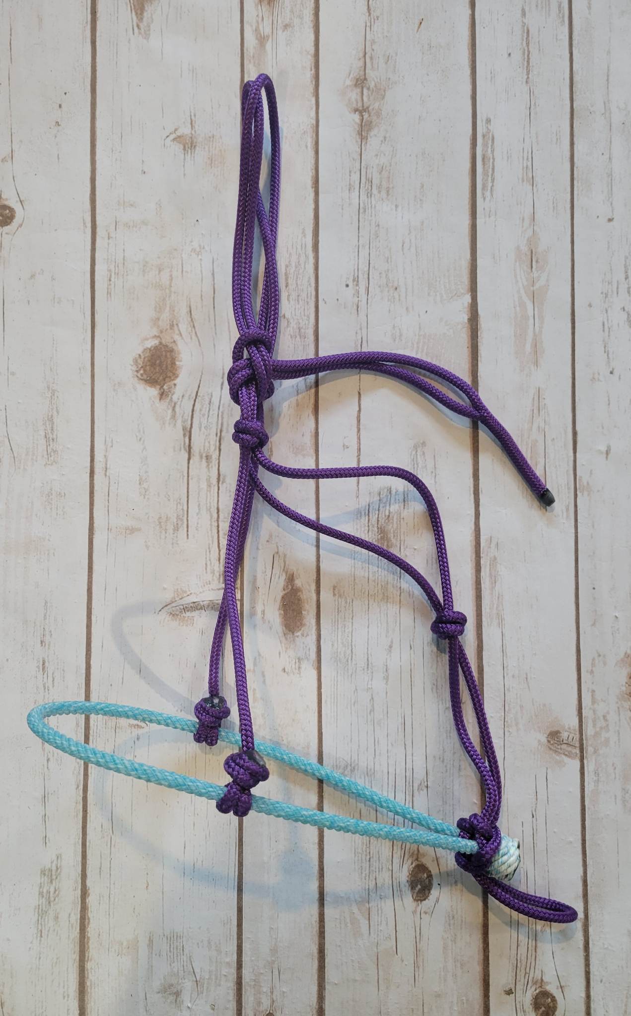 Lariat Nose Rope Halter