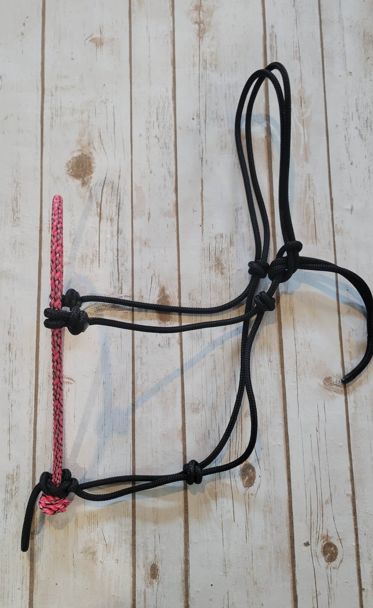 Lariat Nose Rope Halter