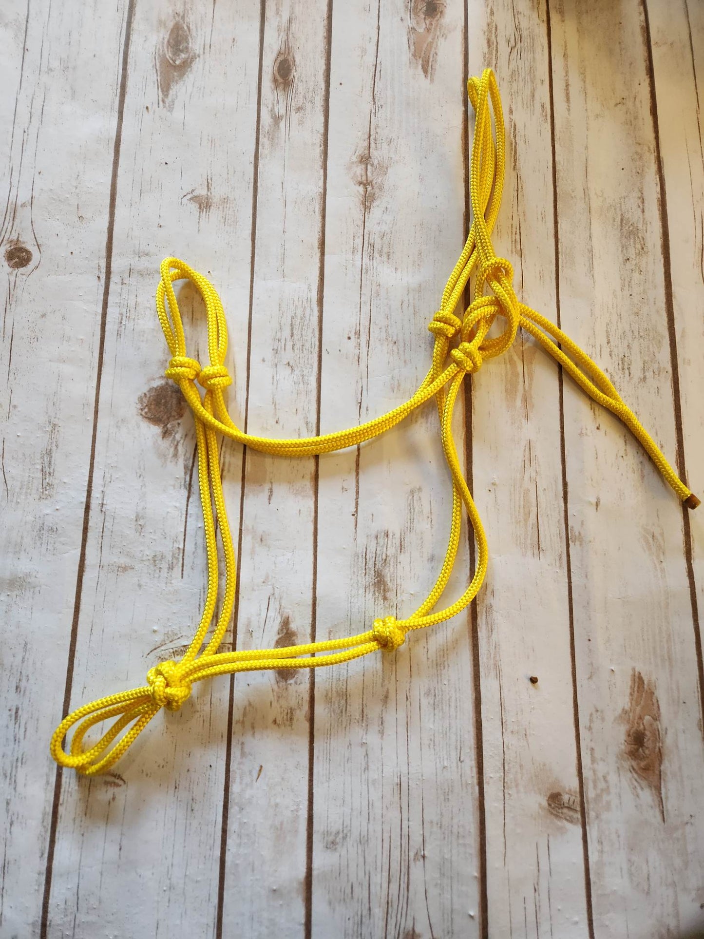 Soft 2-Knot Average Horse Rope Halter