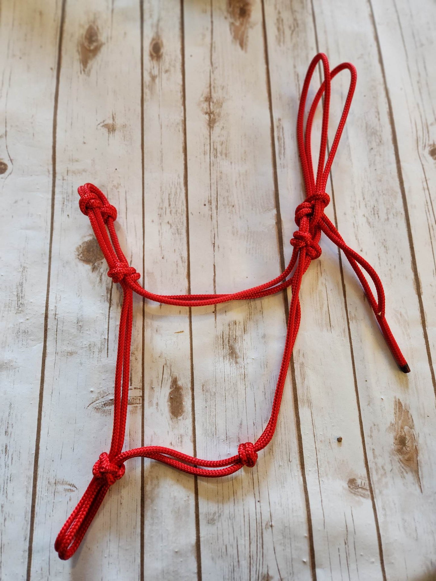 Soft 4-Knot Average Horse Rope Halter