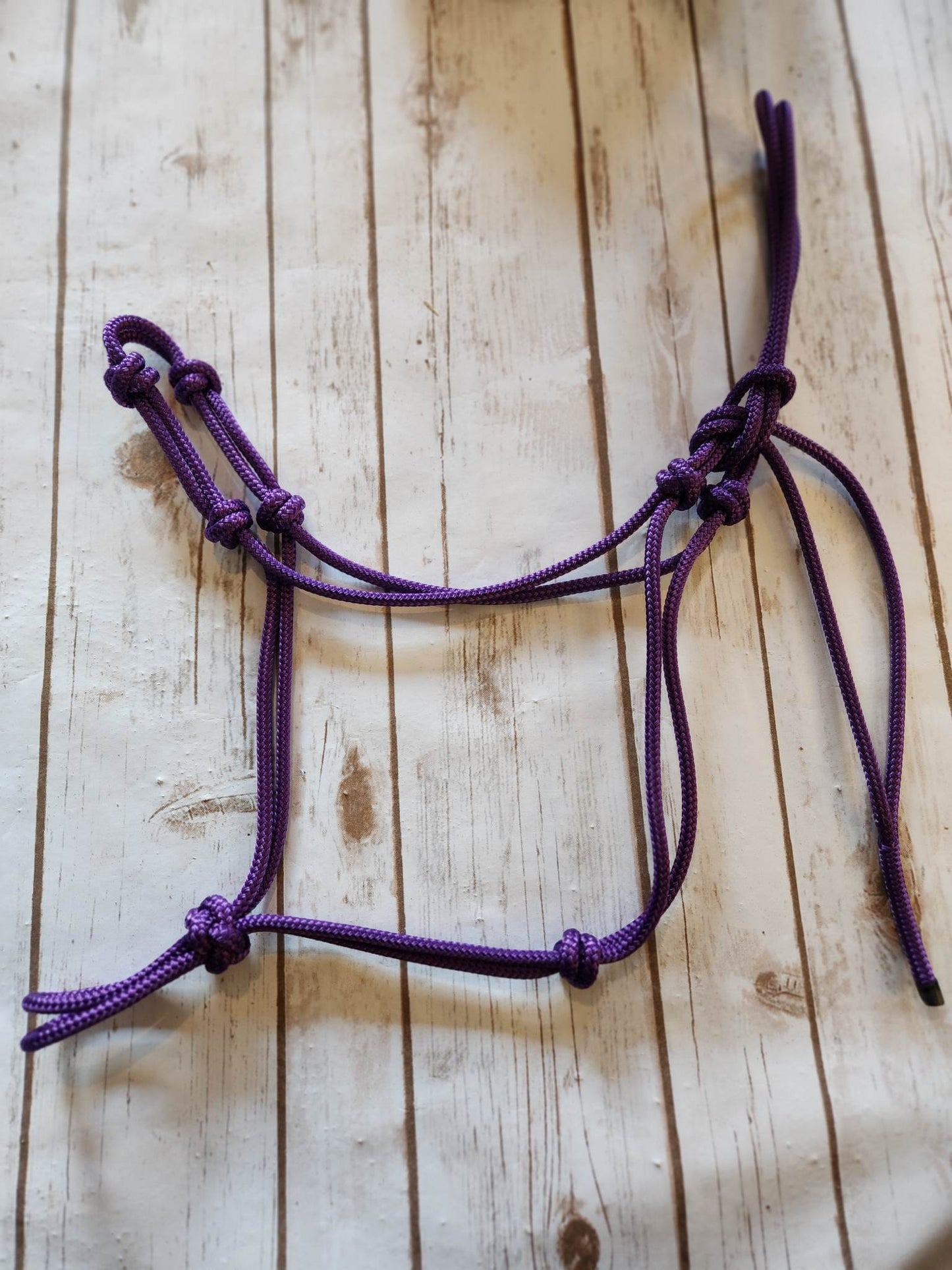 Soft 4-Knot Average Horse Rope Halter