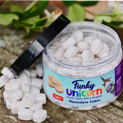 Funky Unicorn Horse Treats