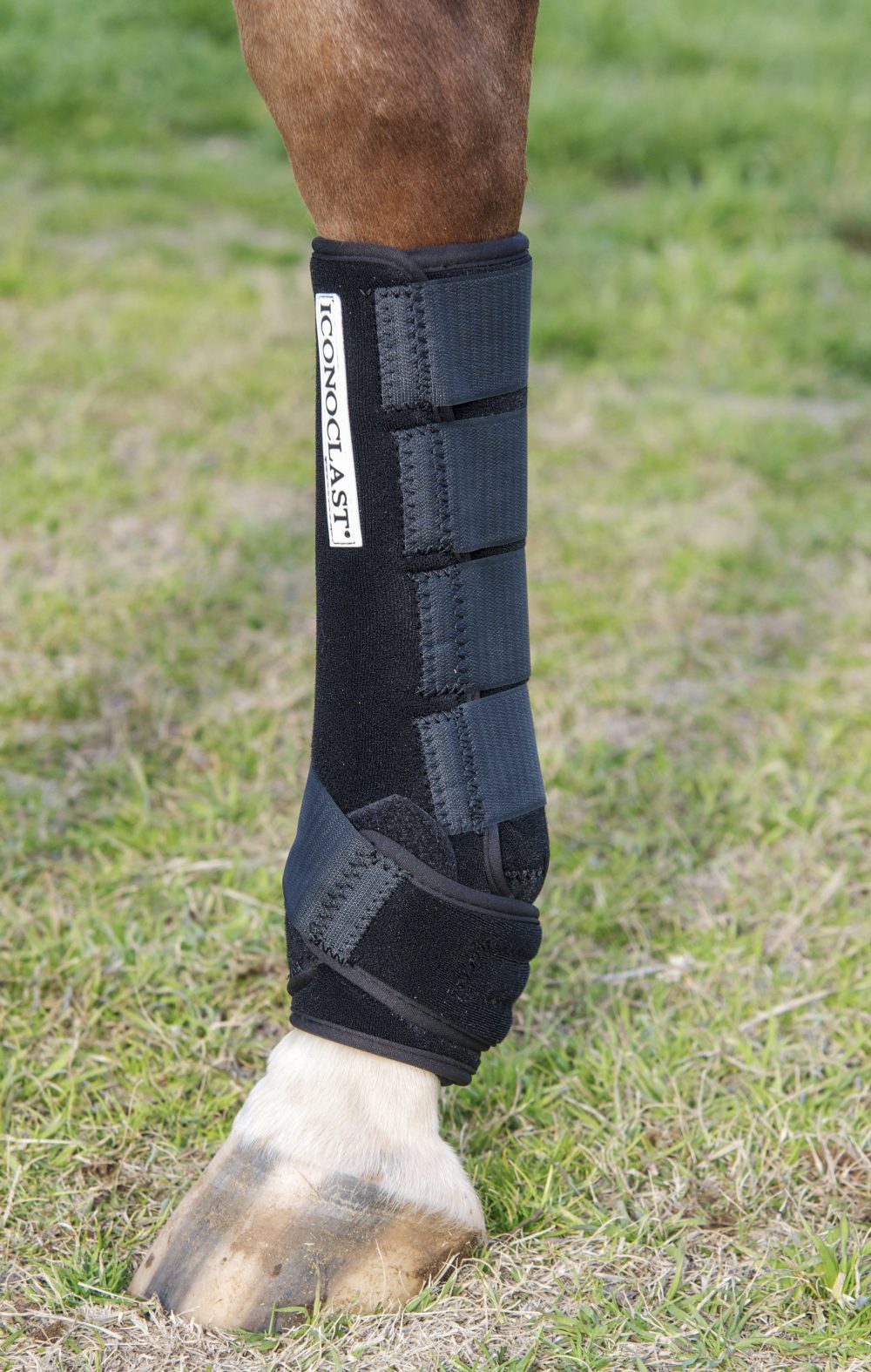 Iconoclast X-Tall Hind Sport Boots
