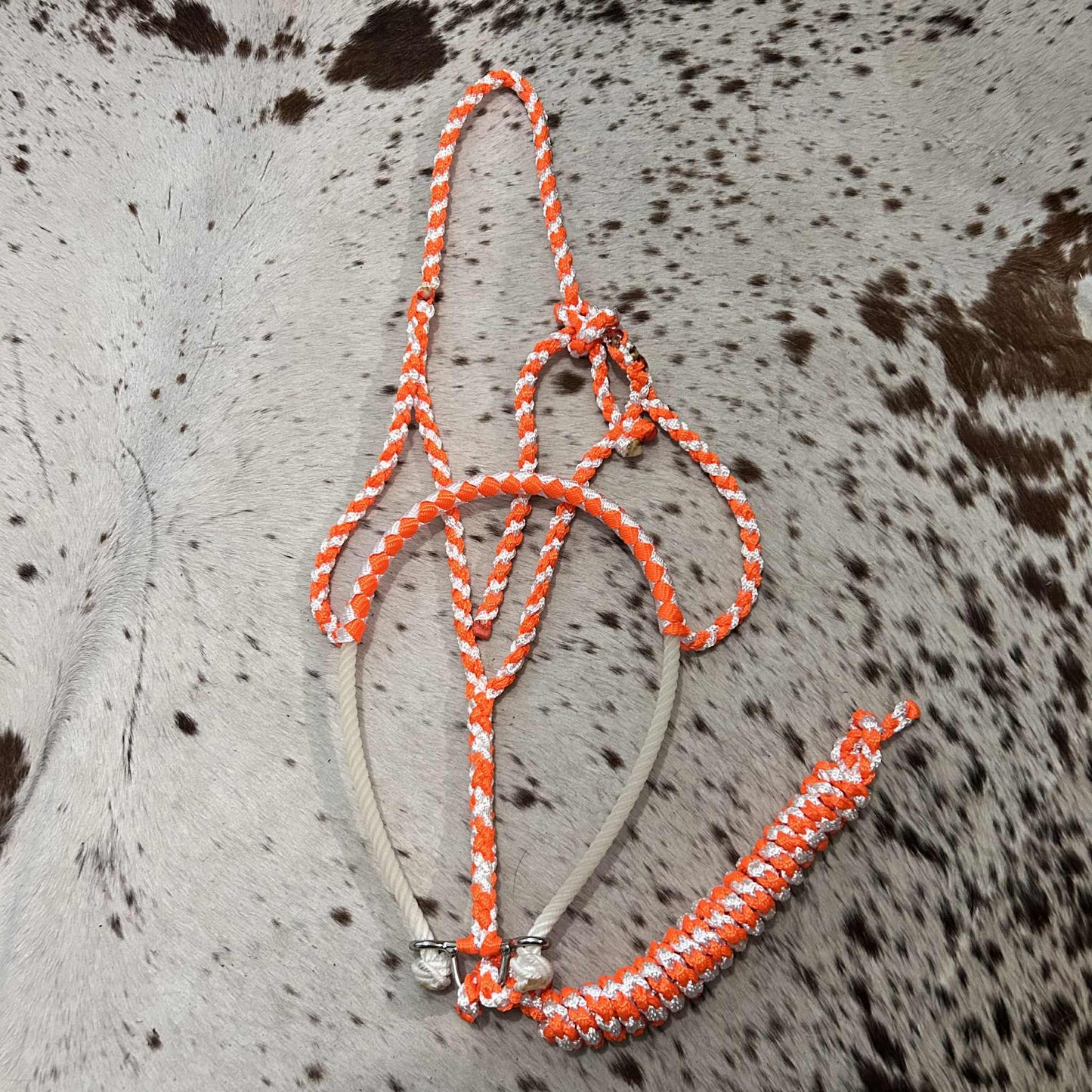 KKT Lariat Noseband Halters