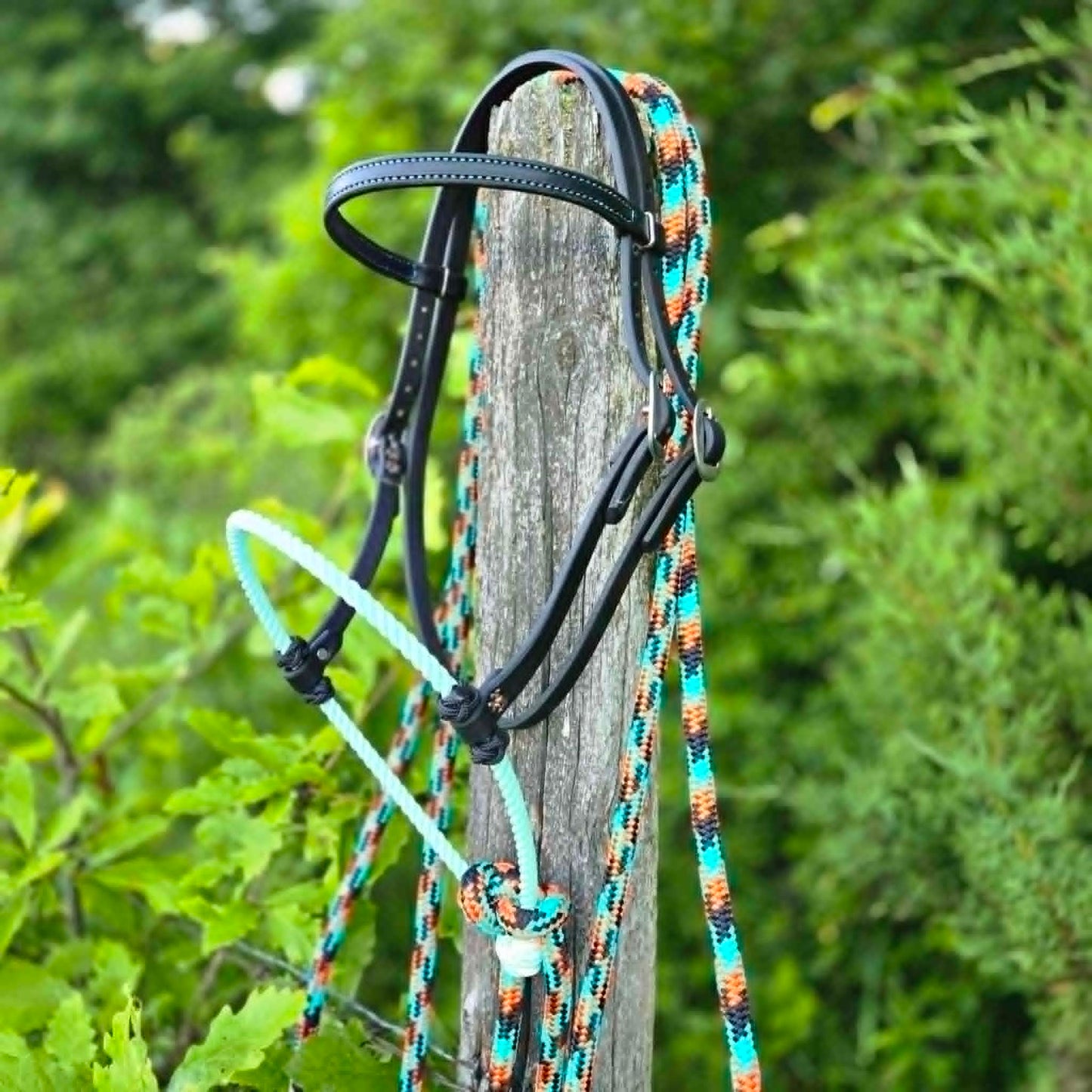 Black & Turquoise Loping Hackamore