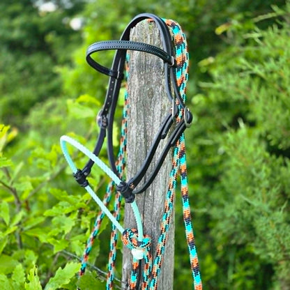 Black & Turquoise Loping Hackamore