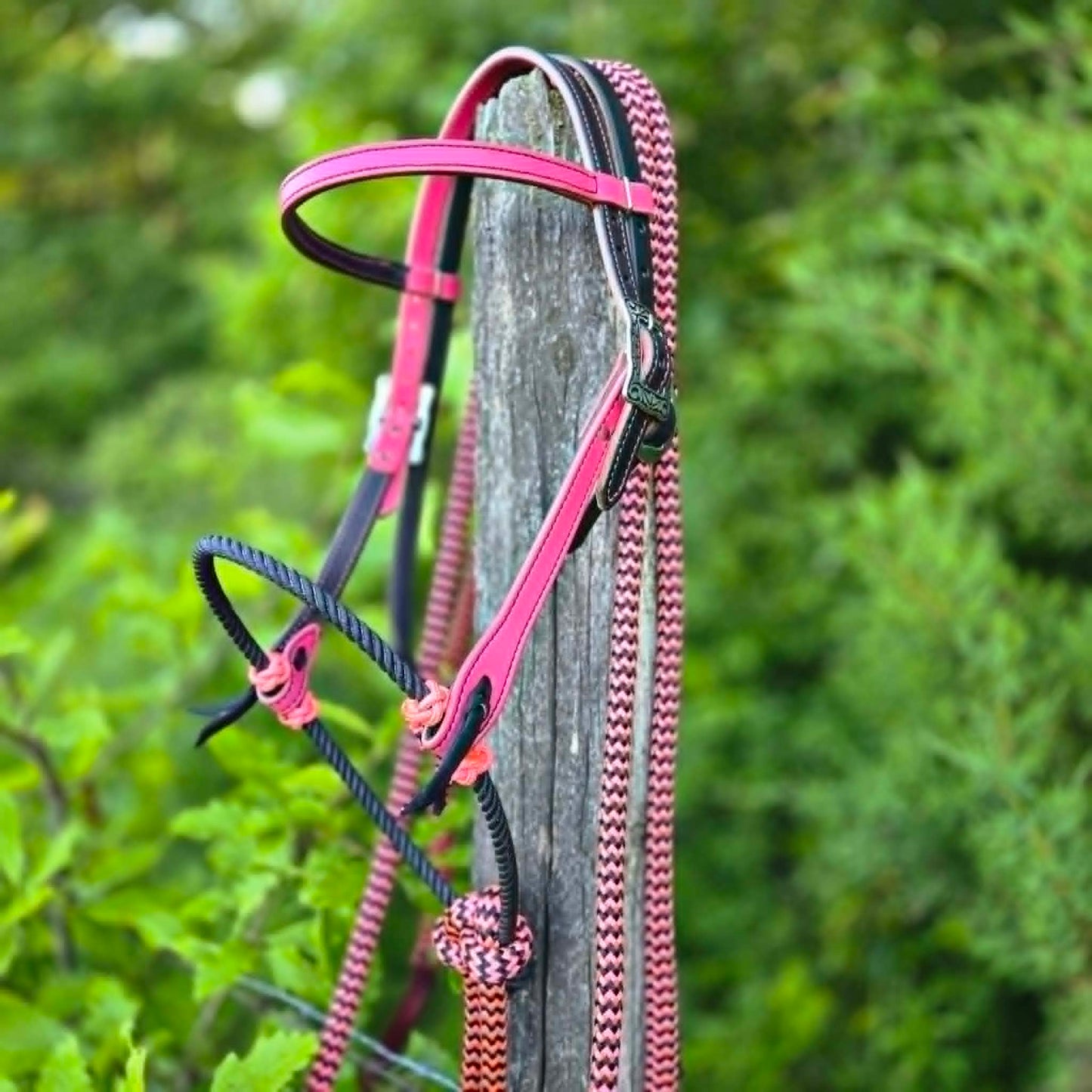 Pink Two-Tone Loping Hackamore