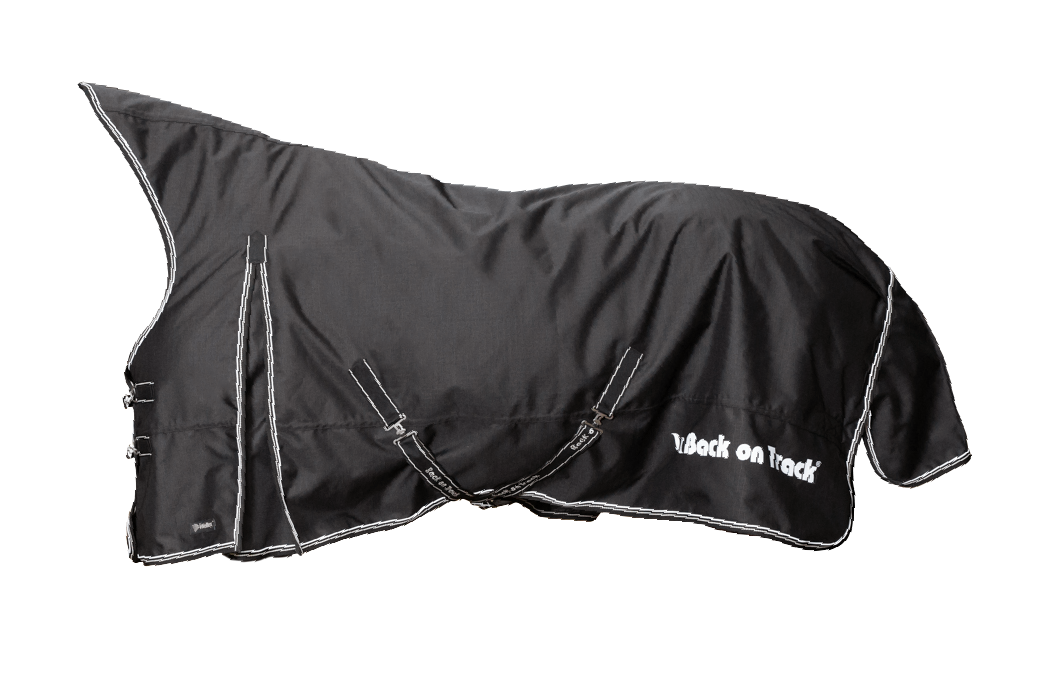 Back On Track Brianna Turnout Sheet