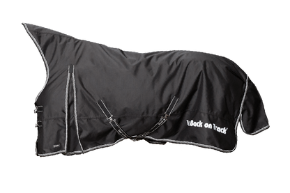 Back On Track Brianna Turnout Sheet