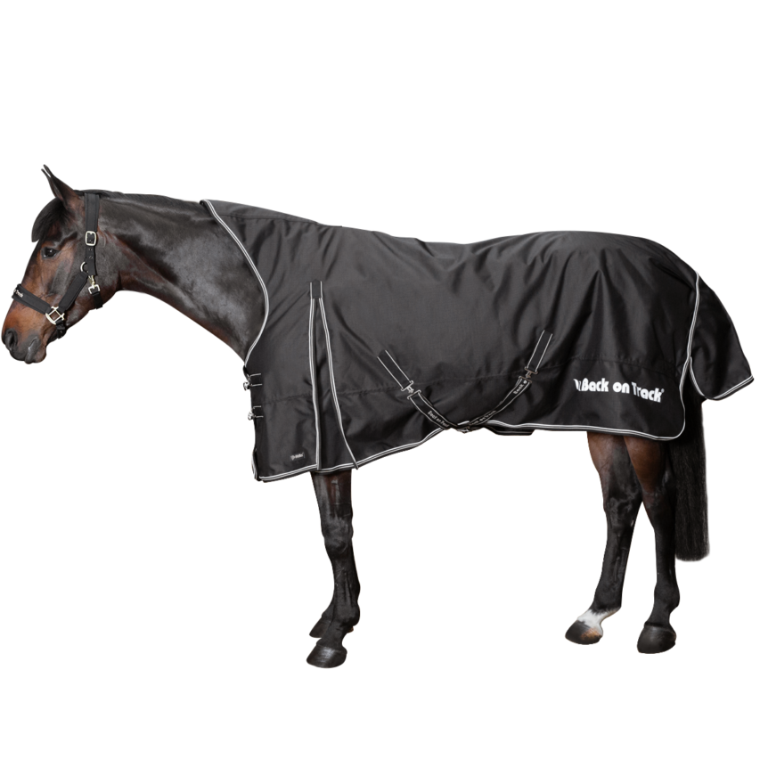 Back On Track Brianna Turnout Sheet