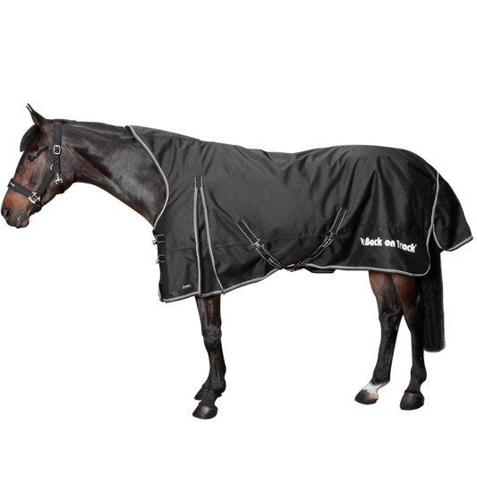 Back On Track Brianna Turnout Sheet