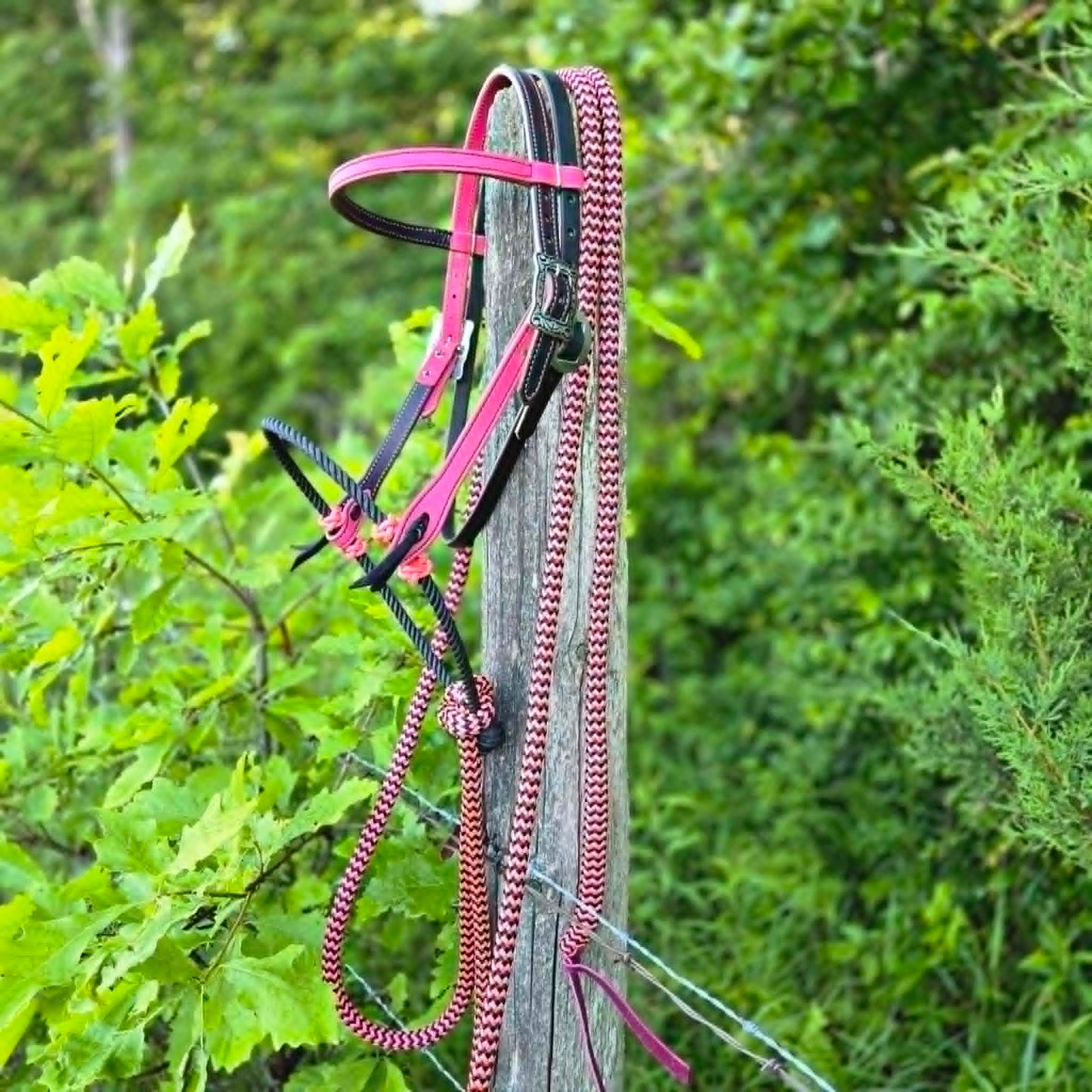 Pink Two-Tone Loping Hackamore